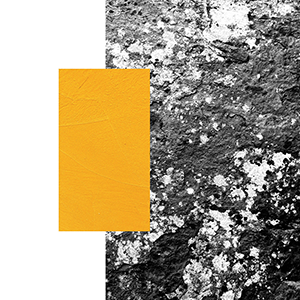 Stephen Hue — Brainstare Manatorquim